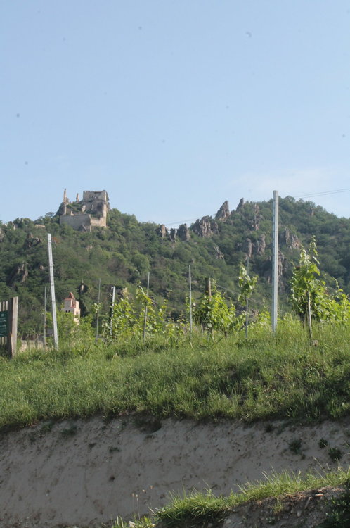 2018-06-01 10-34-16.JPG