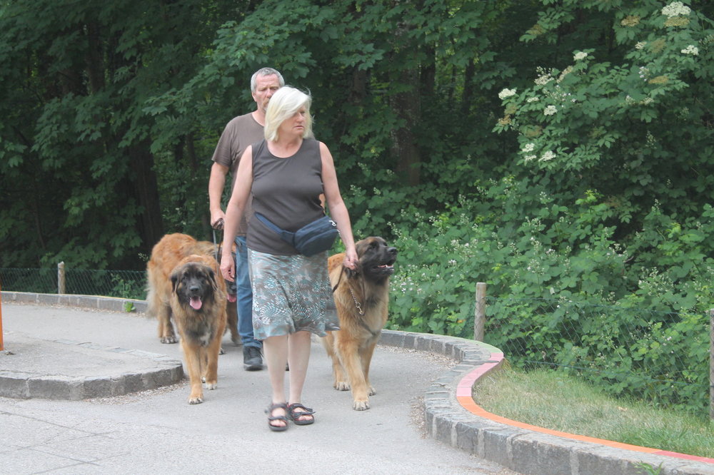 2018-06-01 21-04-12.JPG