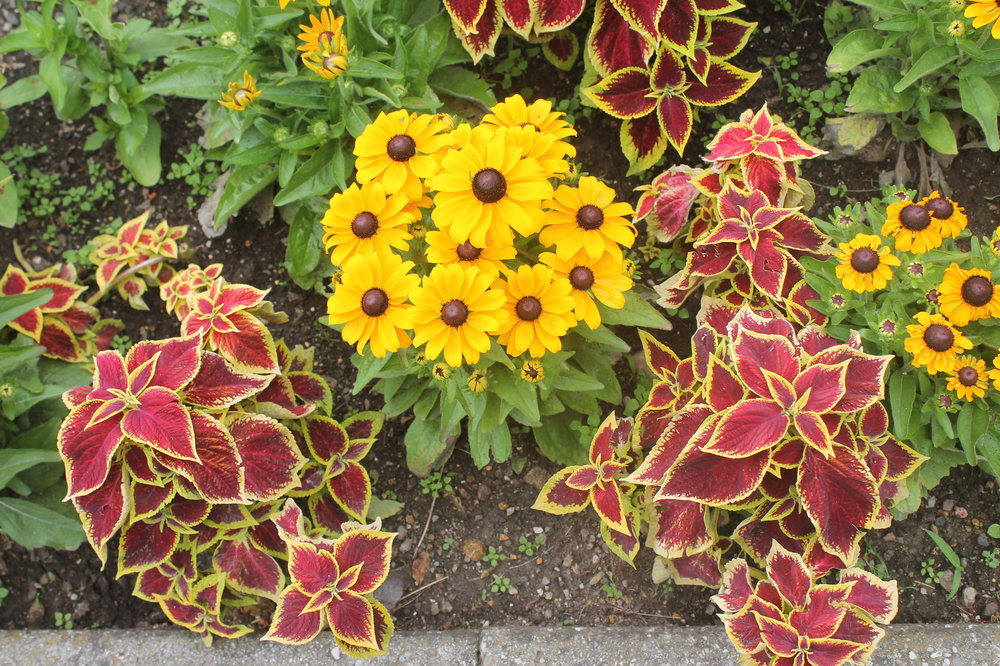 2018-06-07 11-10-28.JPG