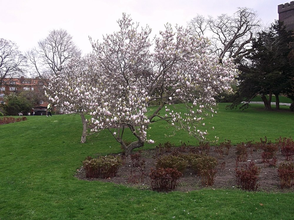 Сады и парки Скандинавии 946_Fotor.jpg