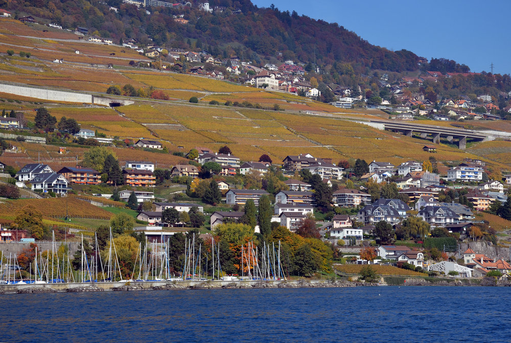 DSC_6336 — копия.JPG