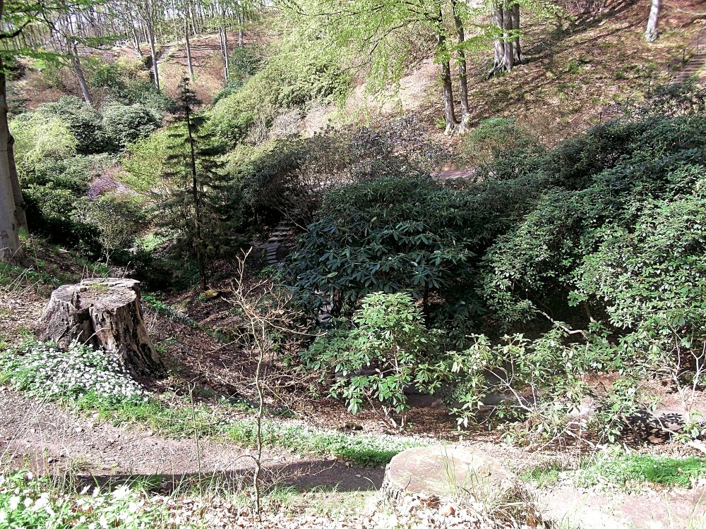 Сады и парки Скандинавии 998_Fotor.jpg