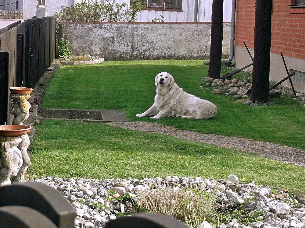 Сады и парки Скандинавии 822_Fotor.jpg