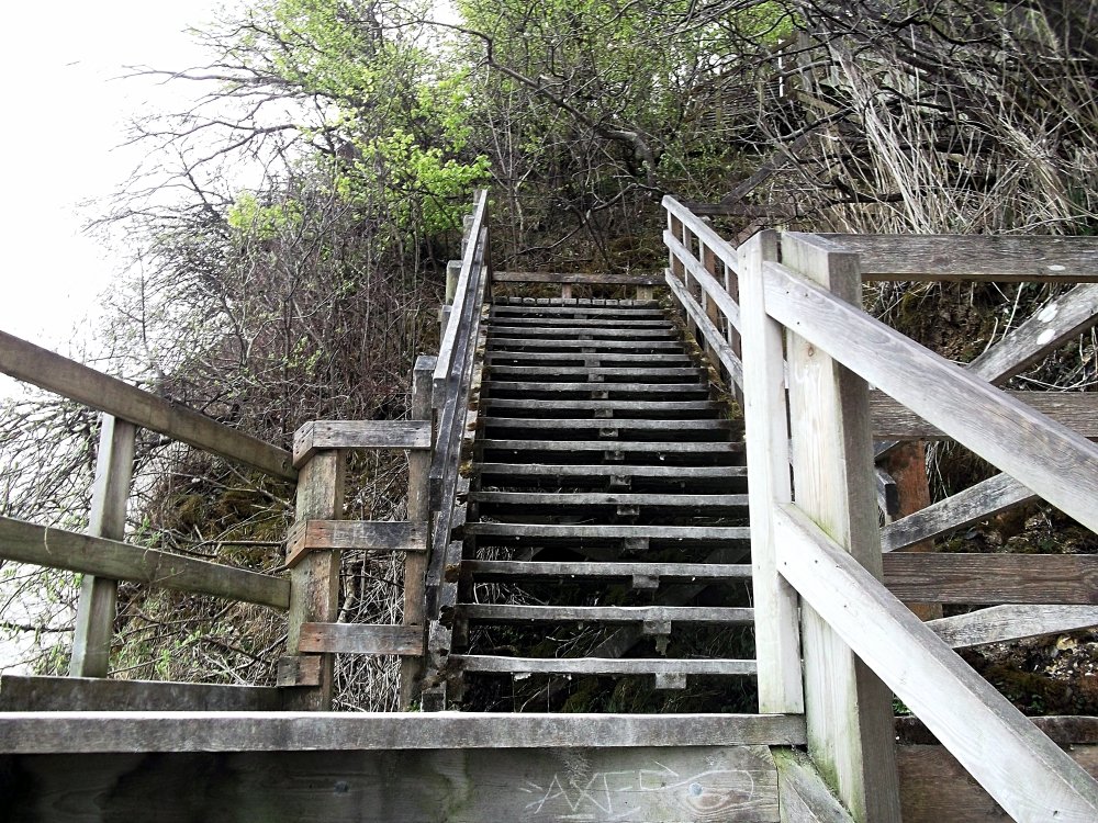 Сады и парки Скандинавии 1276_Fotor.jpg