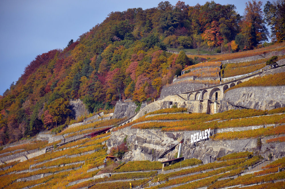 DSC_6413 — копия.JPG