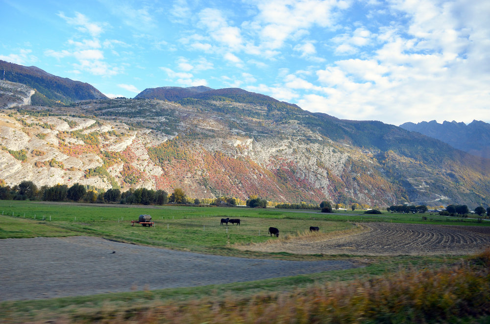 DSC_5729 — копия.JPG