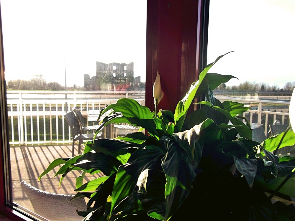 Сады и парки Скандинавии 781_Fotor.jpg