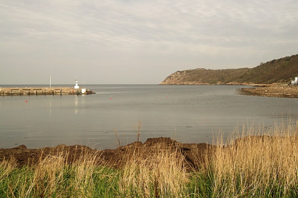 Сады и парки Скандинавии 790_Fotor.jpg