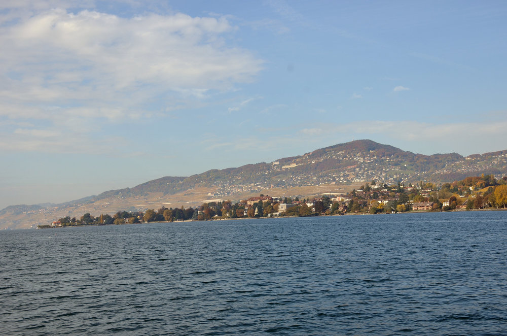 DSC_6230 — копия.JPG