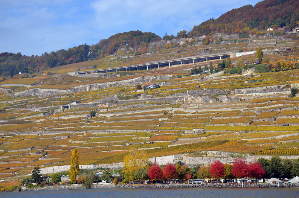 DSC_6334 — копия.JPG