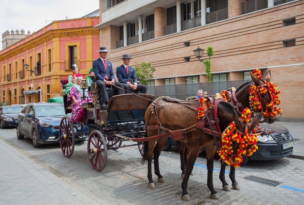 Севил 3.05-28.jpg