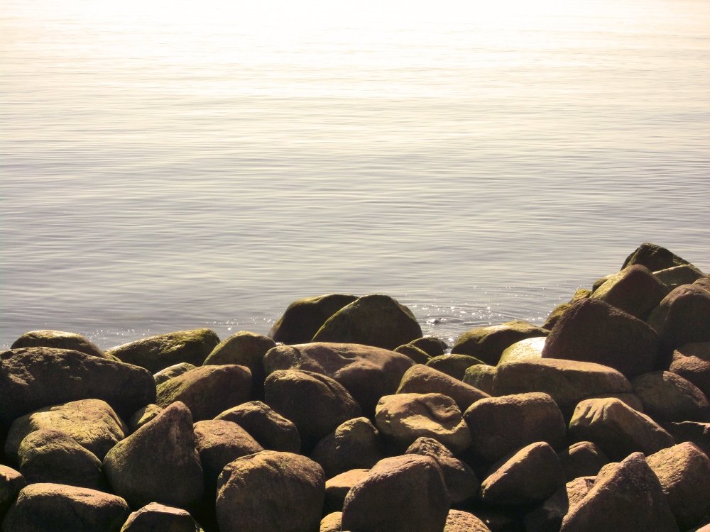 Сады и парки Скандинавии 1202_Fotor.jpg