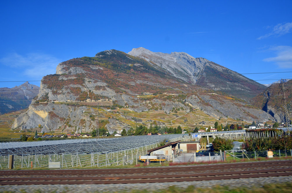 DSC_5881 — копия.JPG