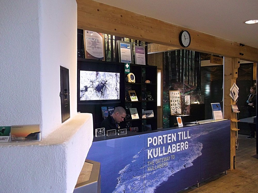 Сады и парки Скандинавии 887_Fotor.jpg