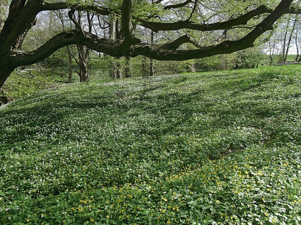 Сады и парки Скандинавии 992_Fotor.jpg