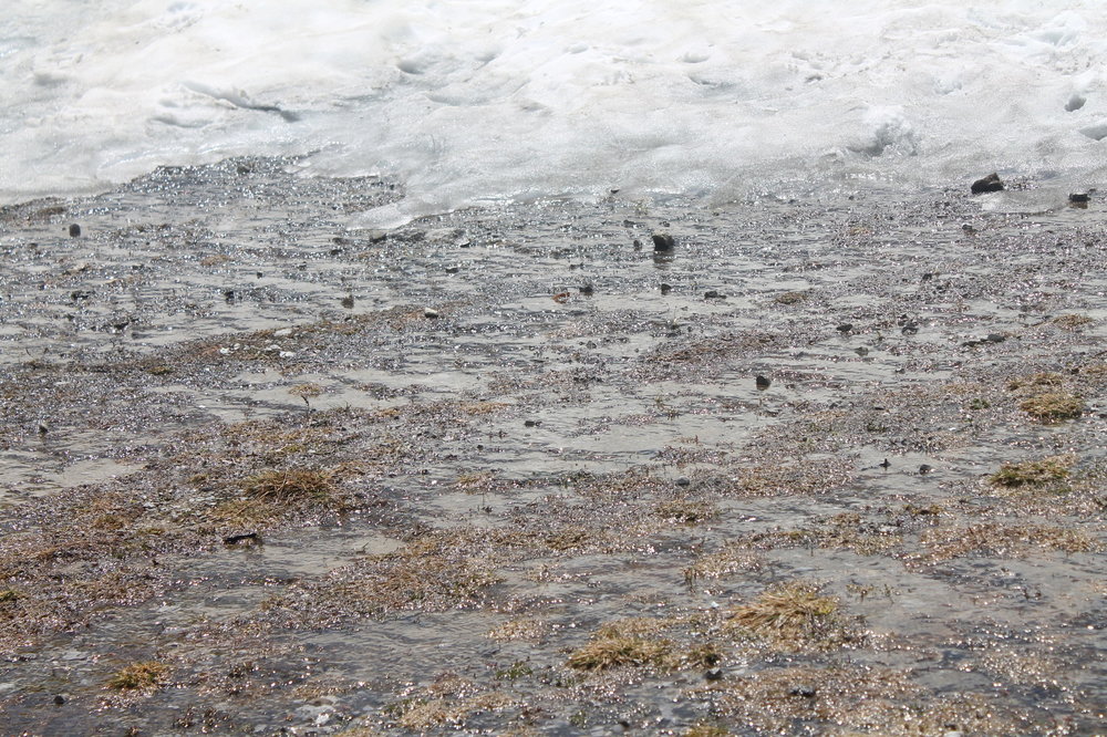 2018-06-04 16-02-32.JPG