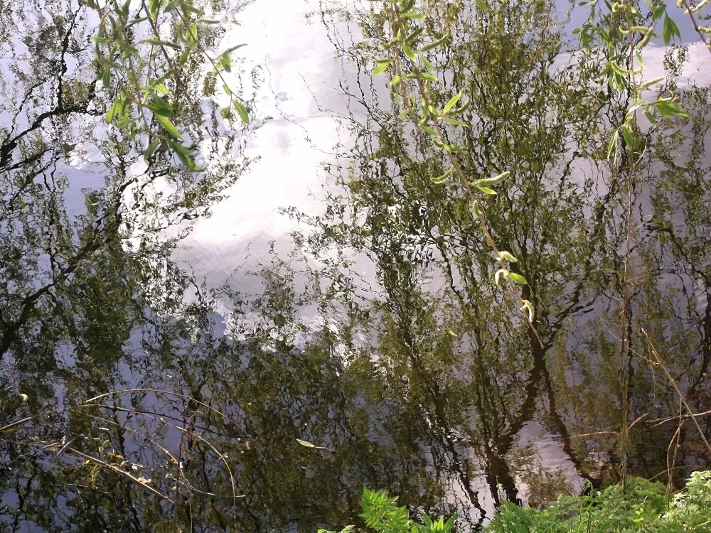 Сады и парки Скандинавии 1143_Fotor.jpg