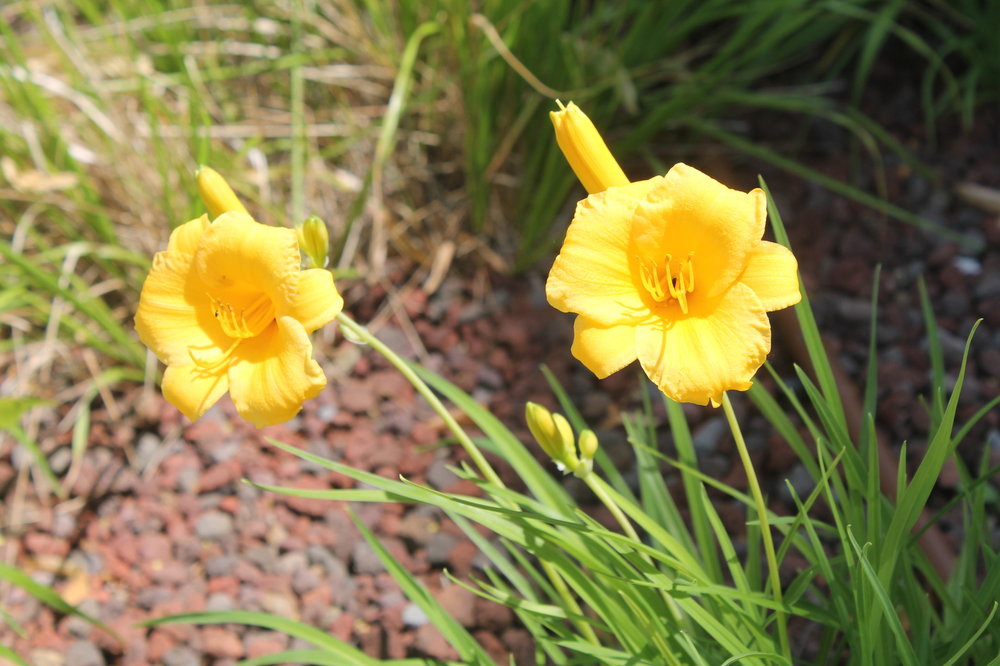 2018-05-31 13-13-34.JPG