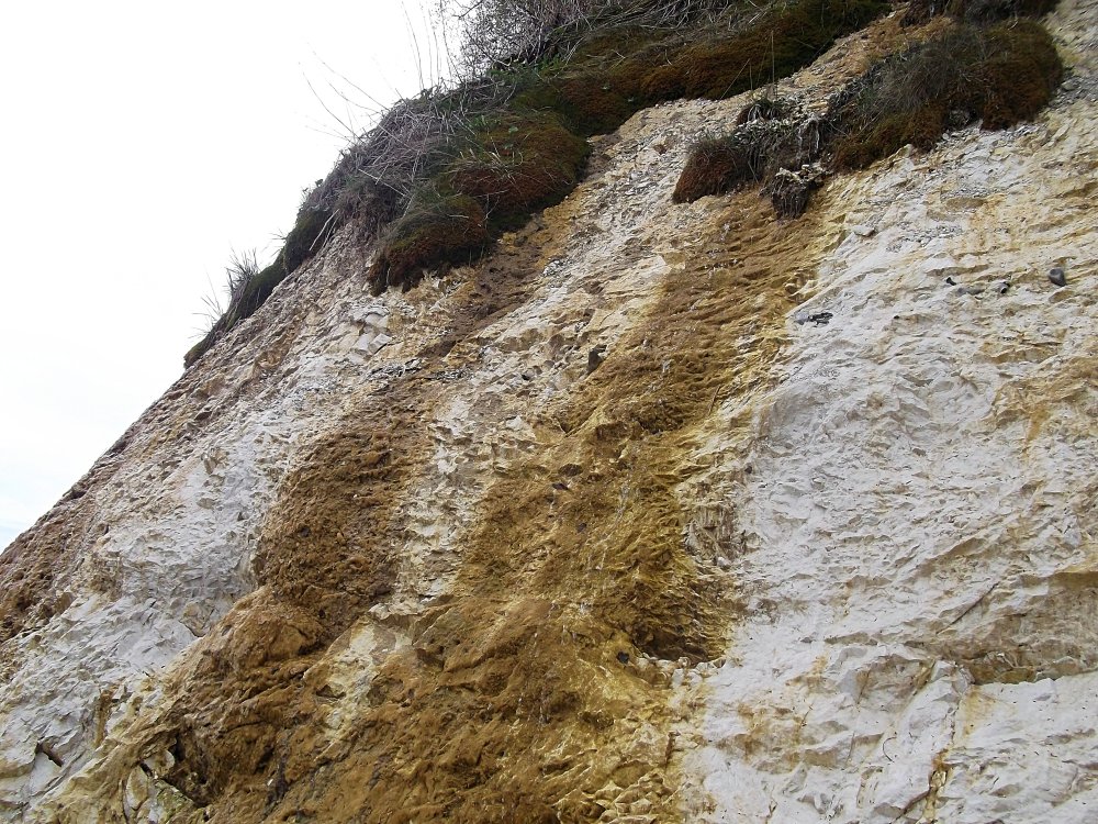 Сады и парки Скандинавии 1278_Fotor.jpg