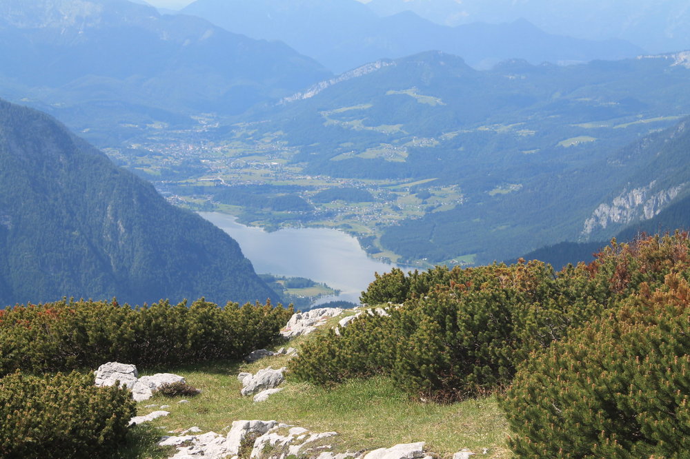 2018-06-02 17-03-24.JPG