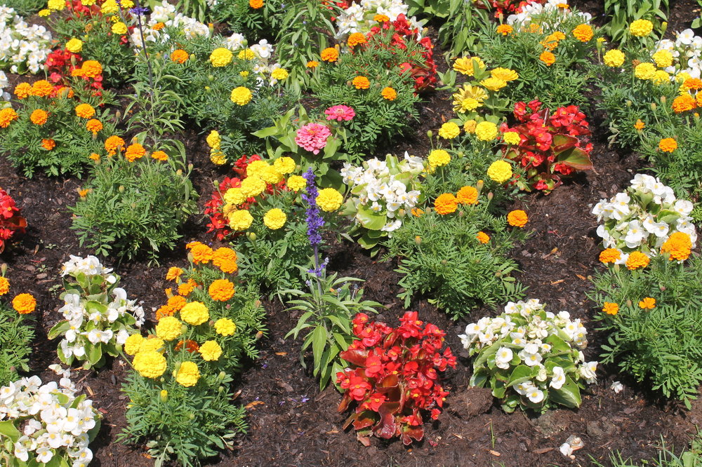 2018-05-31 15-35-56.JPG