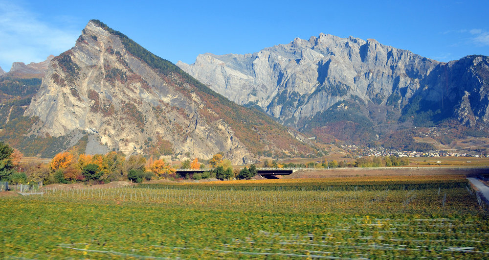 DSC_5895 — копия — копия.JPG