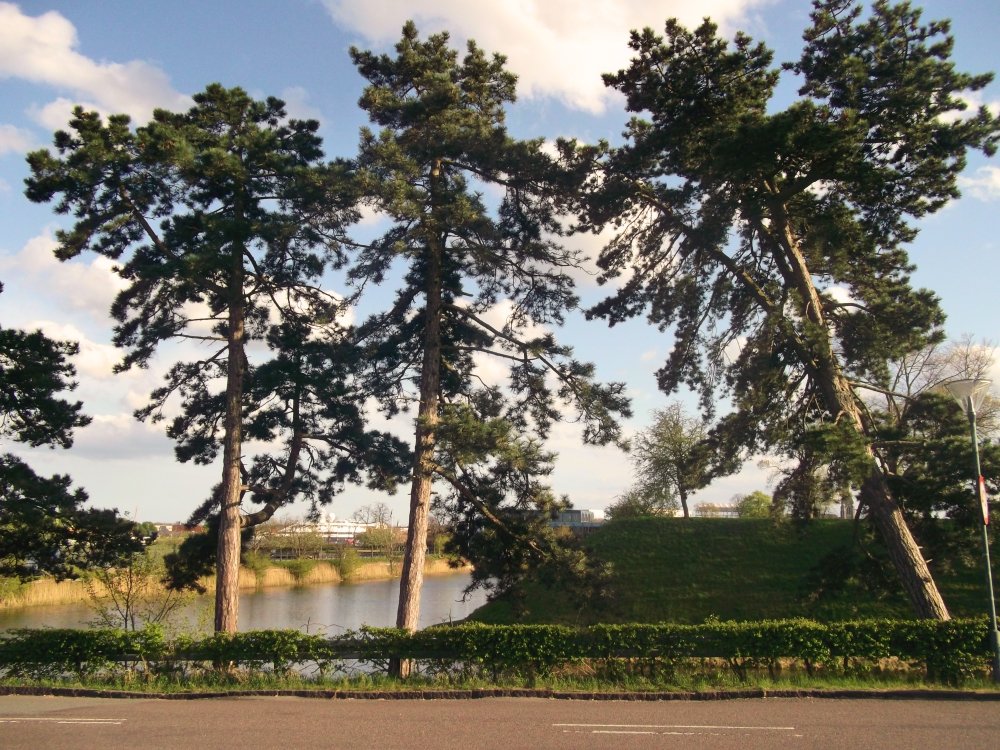 Сады и парки Скандинавии 1126_Fotor.jpg