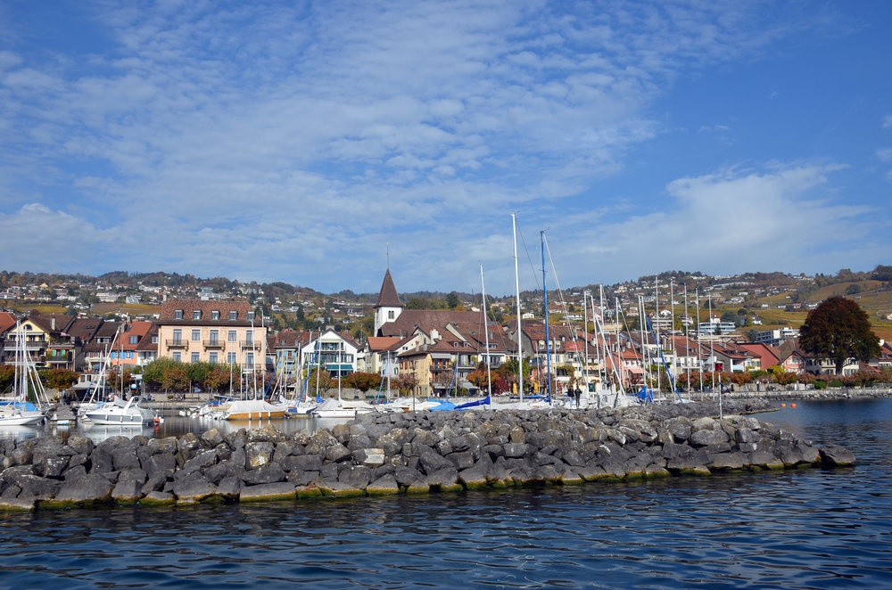 DSC_6533 — копия.JPG