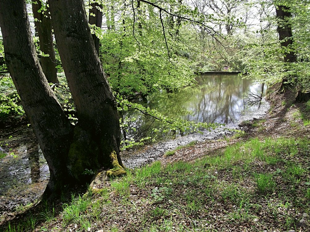 Сады и парки Скандинавии 976_Fotor.jpg