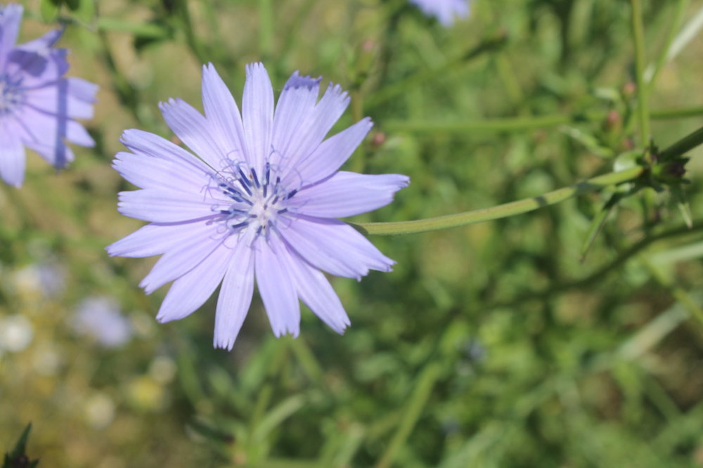 2018-06-08 12-43-40.JPG