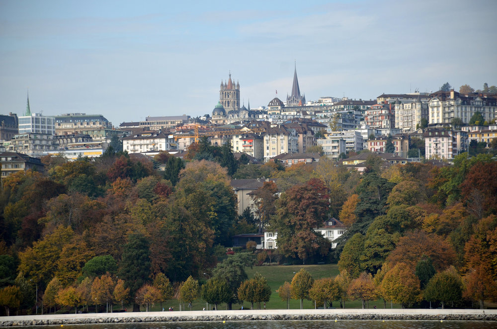 DSC_6563 — копия.JPG