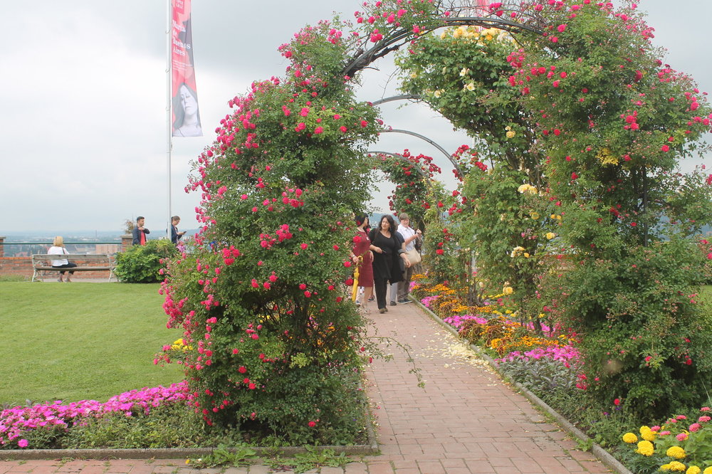 2018-06-07 11-09-34.JPG