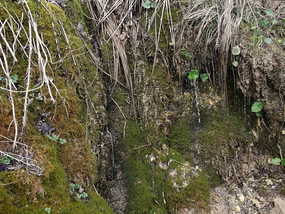 Сады и парки Скандинавии 1274_Fotor.jpg