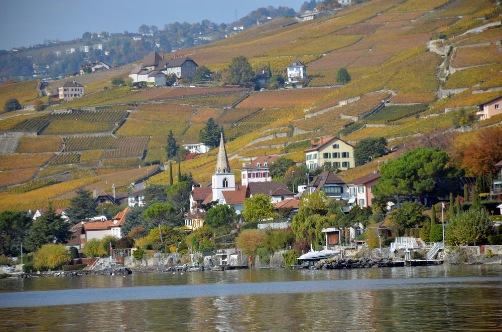 DSC_6492 — копия.JPG