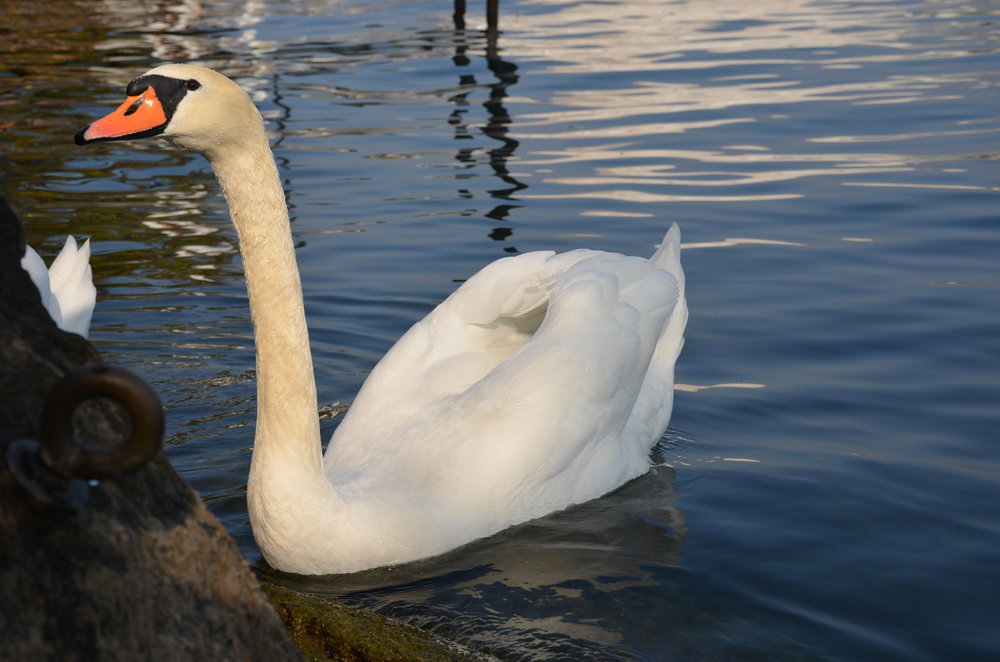 DSC_5093 — копия.JPG