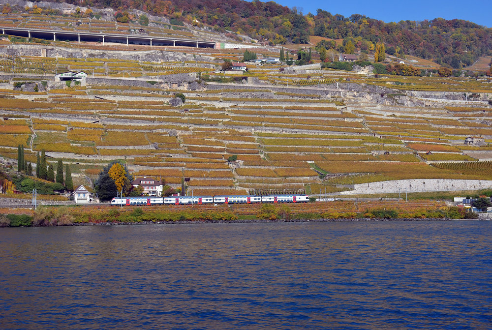 DSC_6351 — копия.JPG