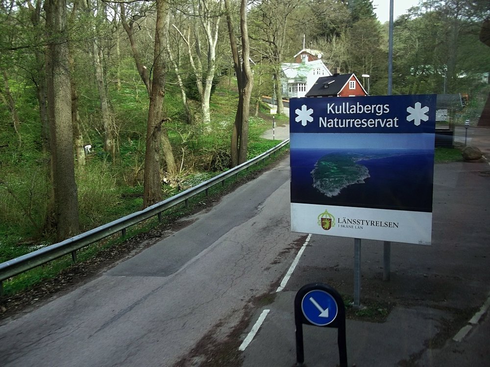 Сады и парки Скандинавии 830_Fotor.jpg