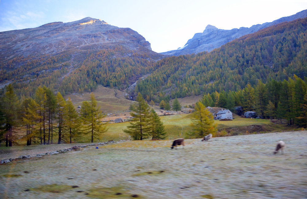 DSC_5418 — копия.JPG