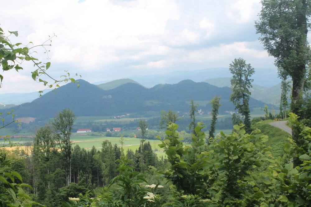 2018-06-06 15-58-54.JPG