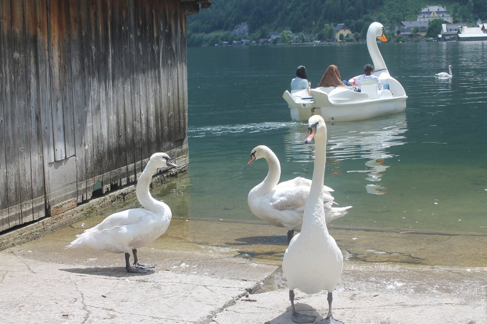 2018-06-02 15-03-54.JPG