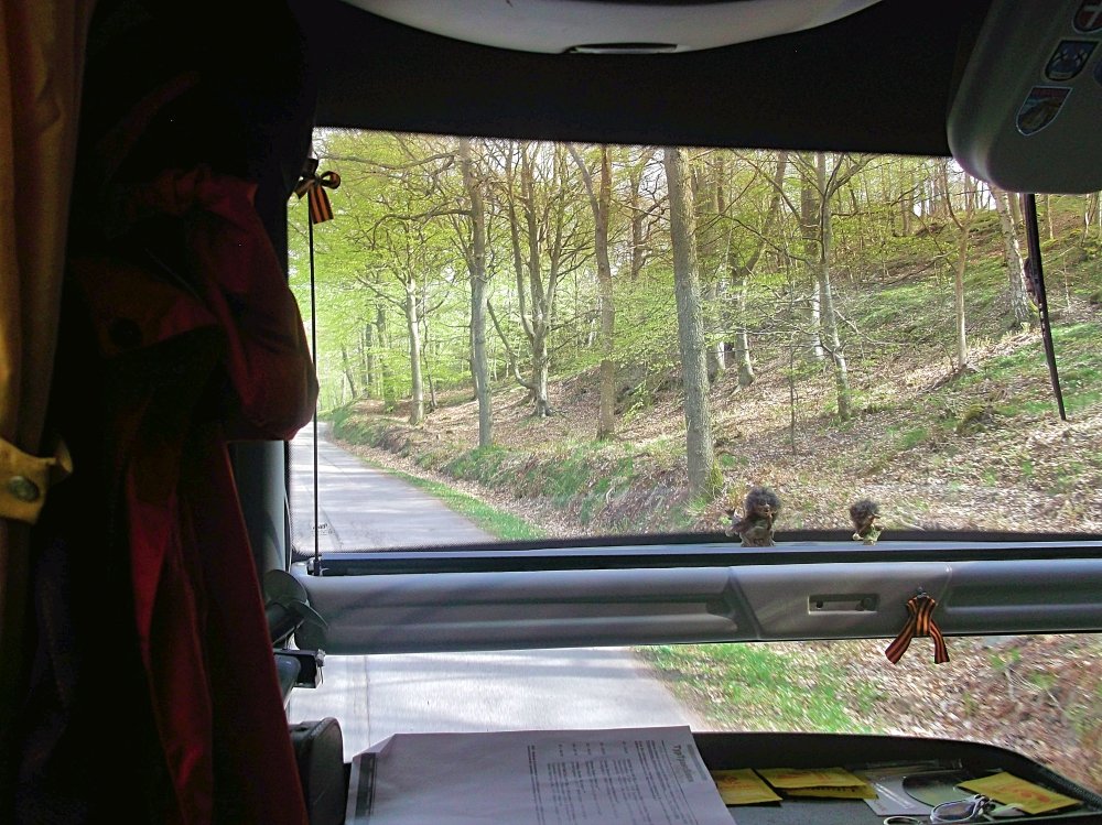 Сады и парки Скандинавии 832_Fotor.jpg