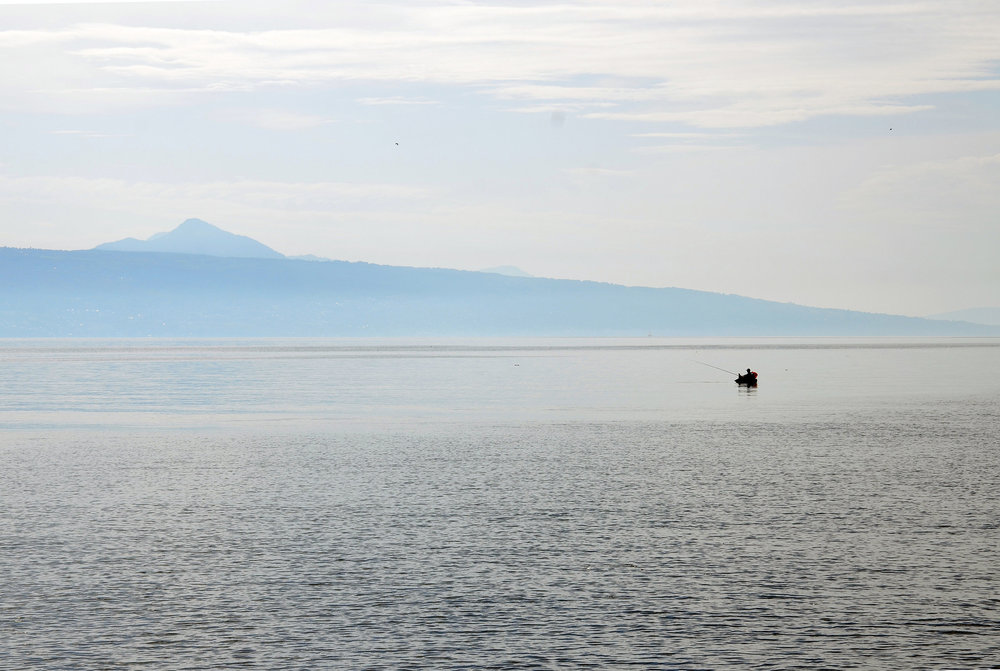 DSC_6458 — копия1.jpg