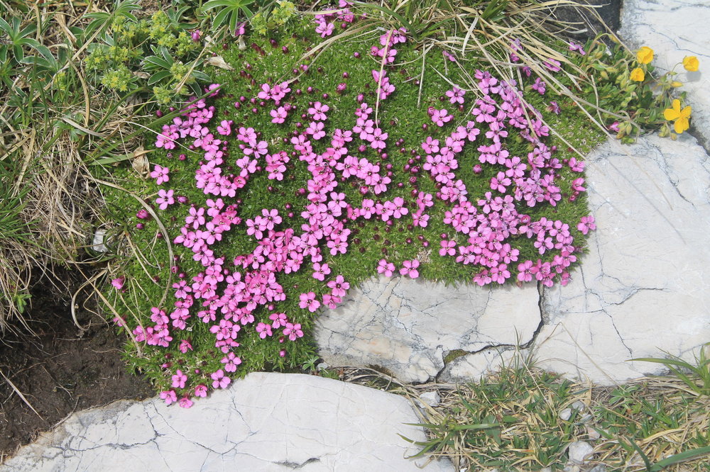 2018-06-02 17-02-14.JPG