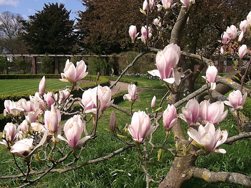 Сады и парки Скандинавии 965_Fotor.jpg