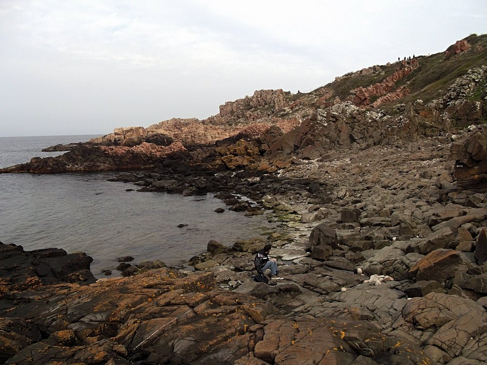 Сады и парки Скандинавии 853_Fotor.jpg