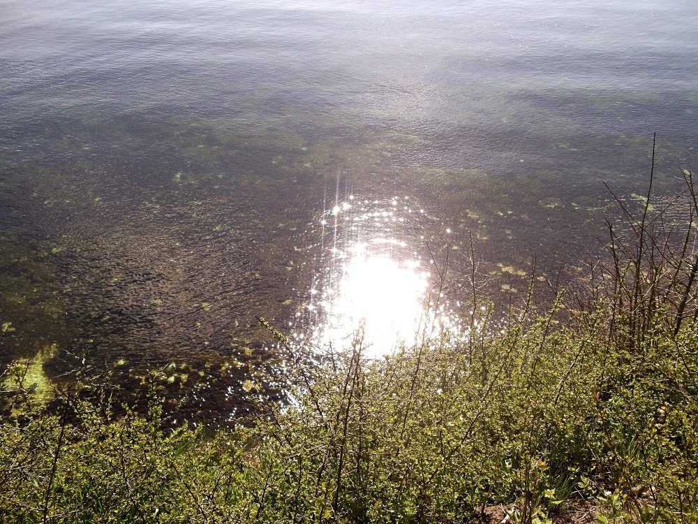 Сады и парки Скандинавии 1232_Fotor.jpg