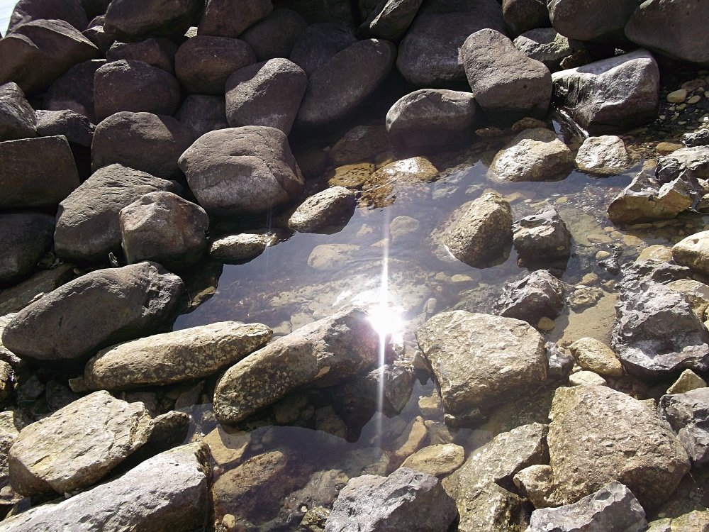 Сады и парки Скандинавии 1212_Fotor.jpg