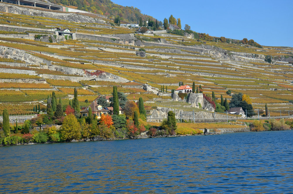 DSC_6357 — копия.JPG