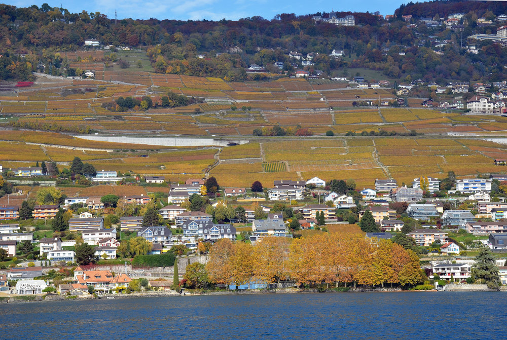 DSC_6325 — копия.JPG