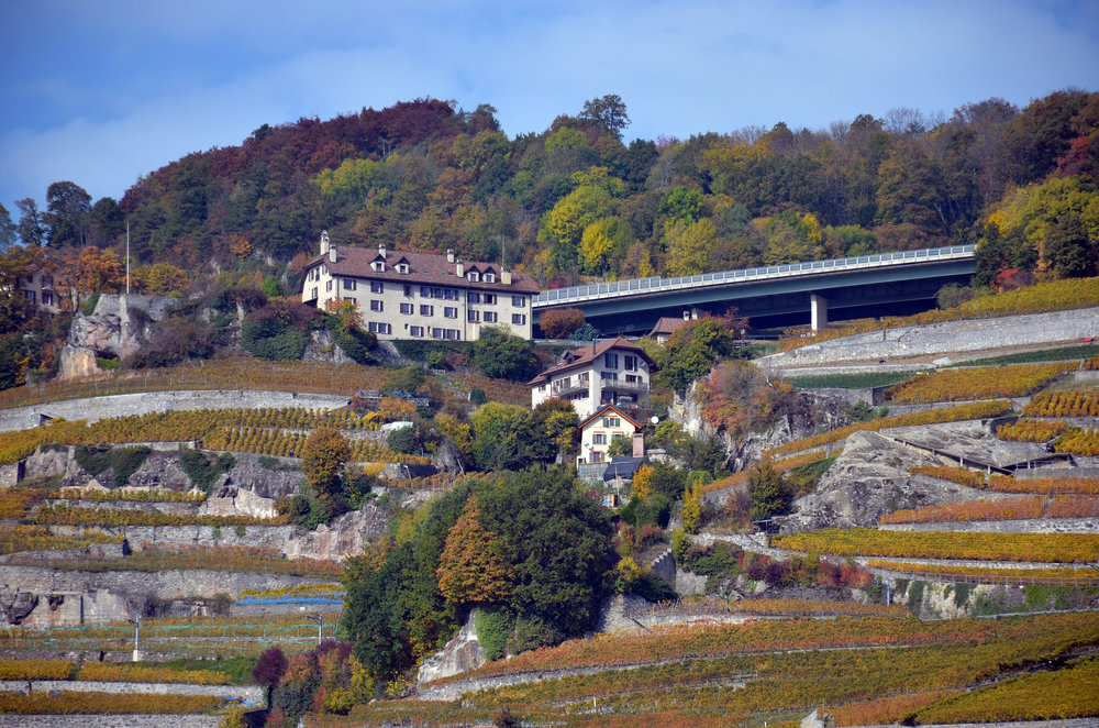 DSC_6350 — копия.JPG